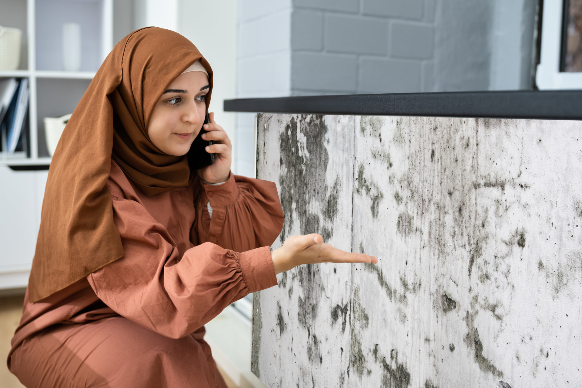 Mold Growth on Walls