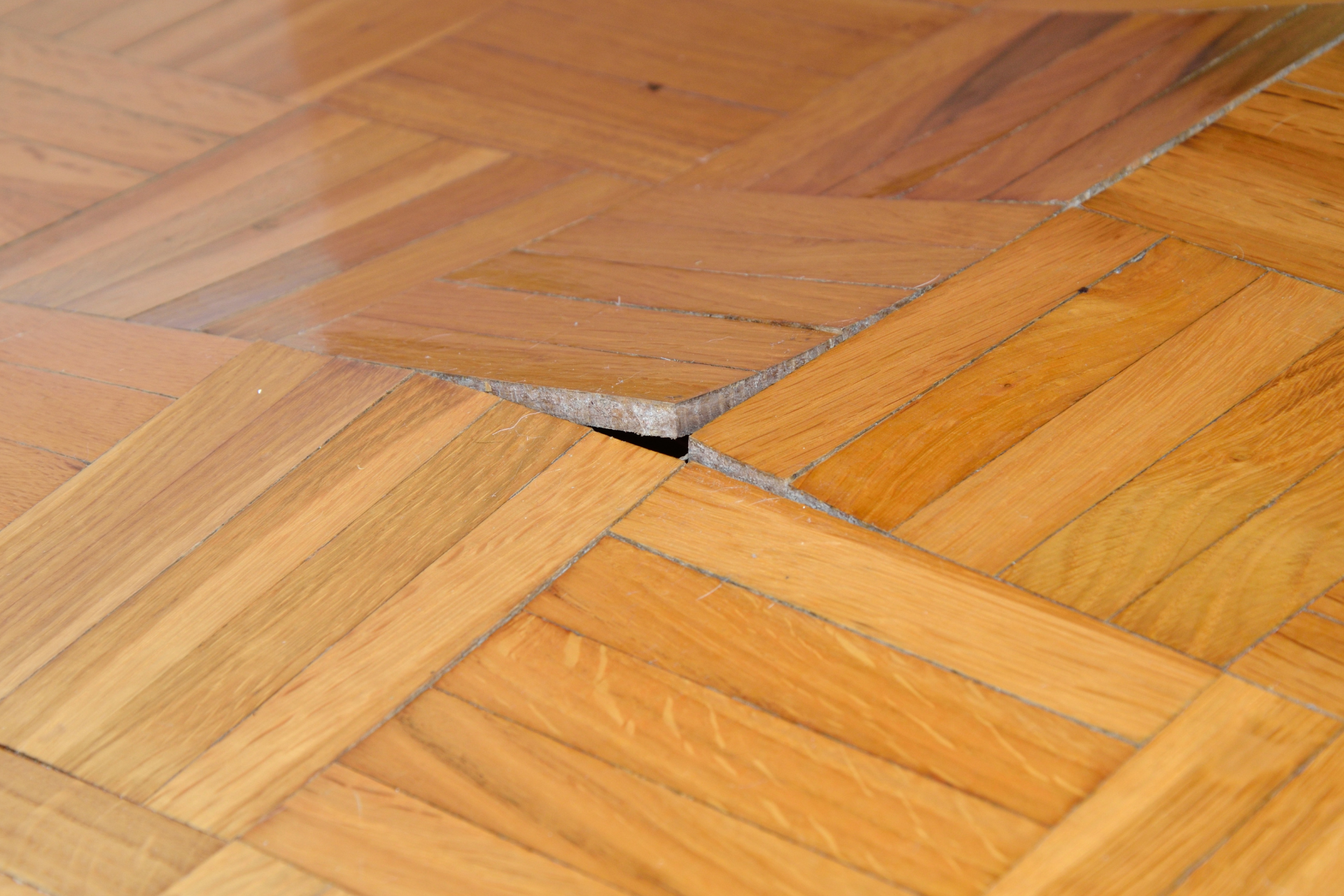 Water Damage on Hardwood Floor