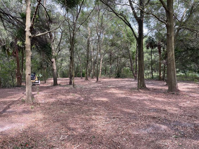 There is a picnic table in the middle of the woods.