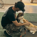 A person wearing a black t-shirt and camouflage pants kneels on artificial turf, cuddling a happy, tan and white corgi.