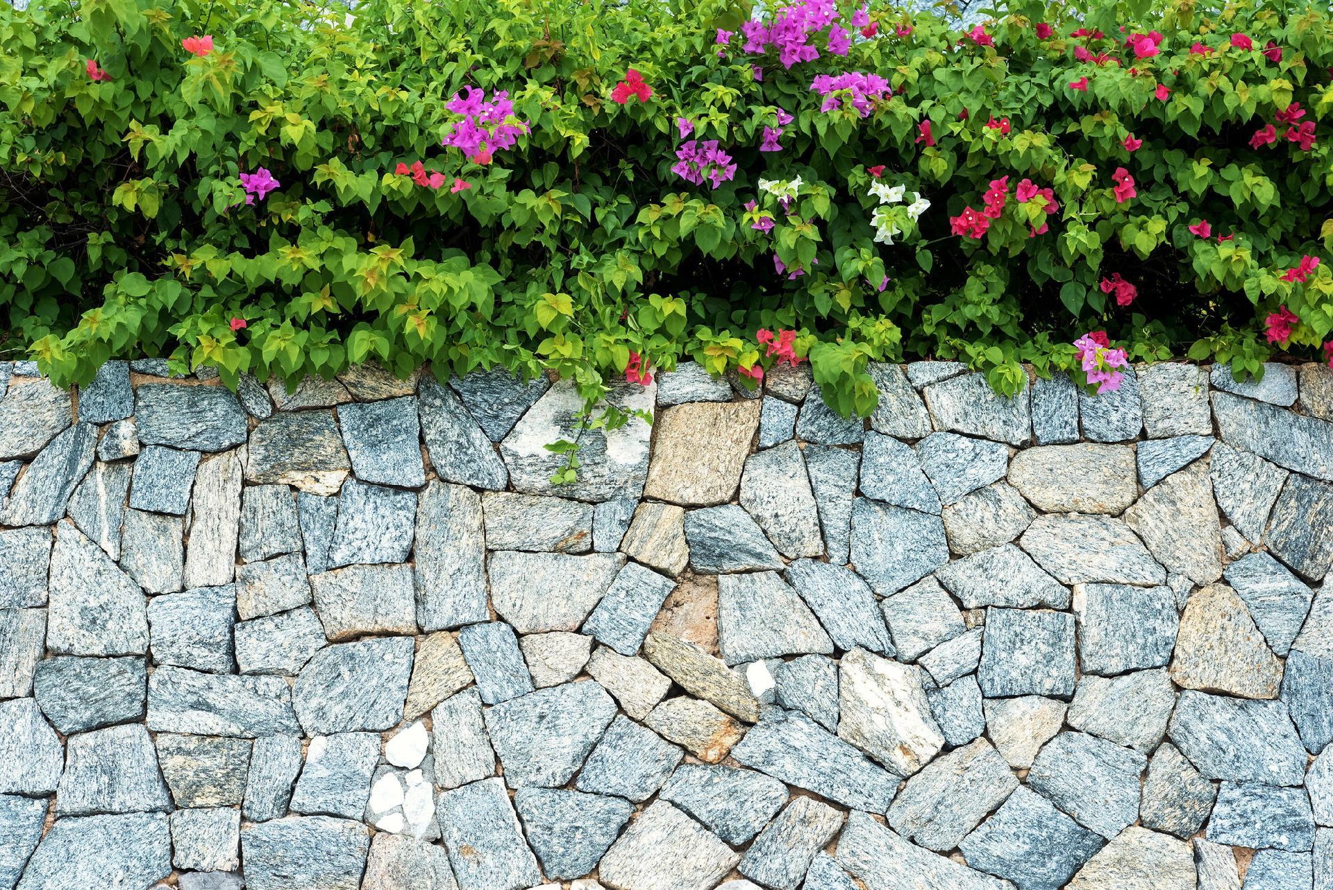 muri in pietra Rada Edilizia La Spezia