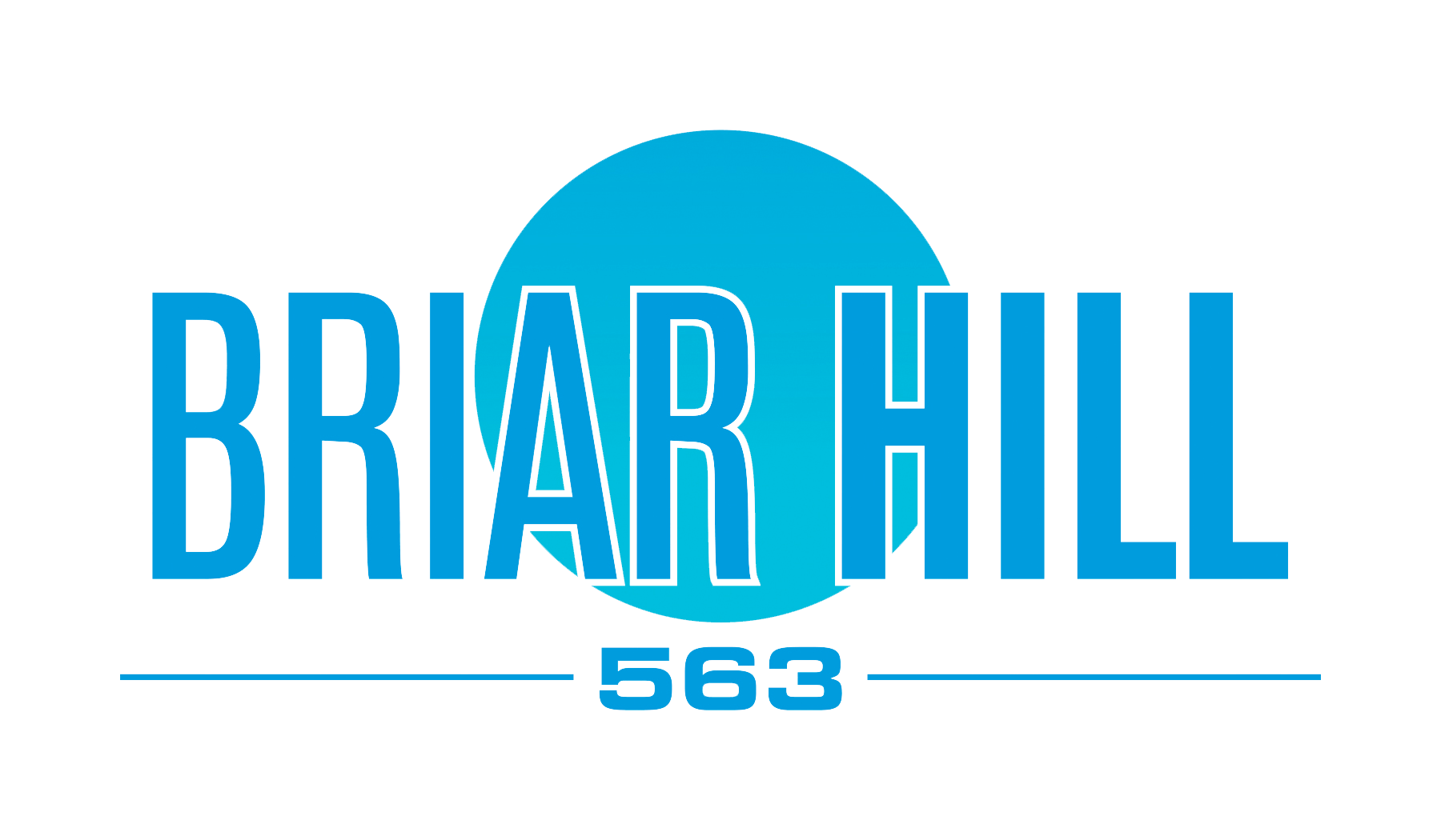 Briarhill 563 Logo - go to home page
