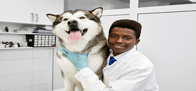 Doctor with Dog at Vet Clinic — Drive, Dallas, TX — Smith Animal Clinic