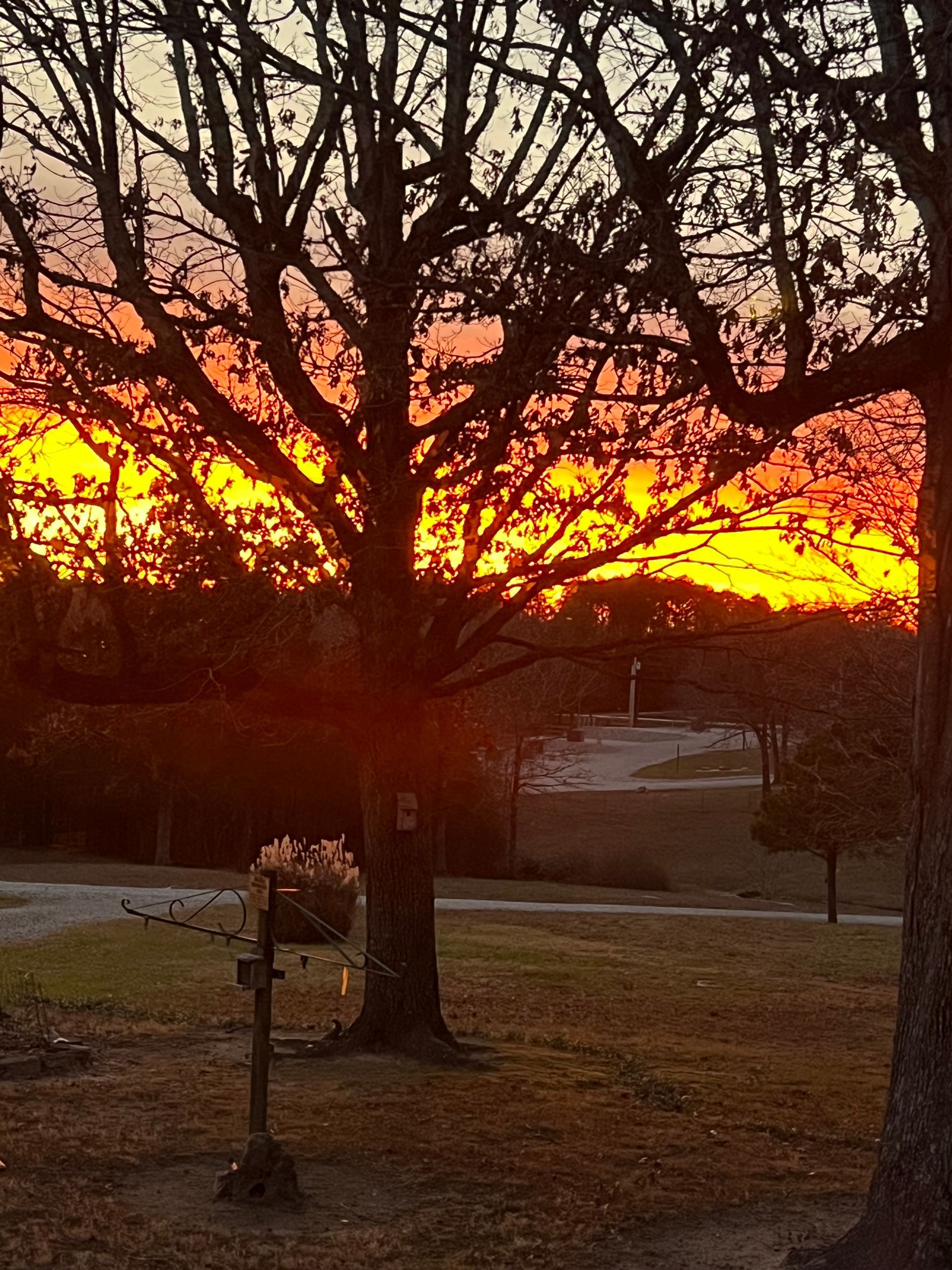 Gravel lot with utility poles and string lights, bordered by a hillside of trees under a cloudy sky.