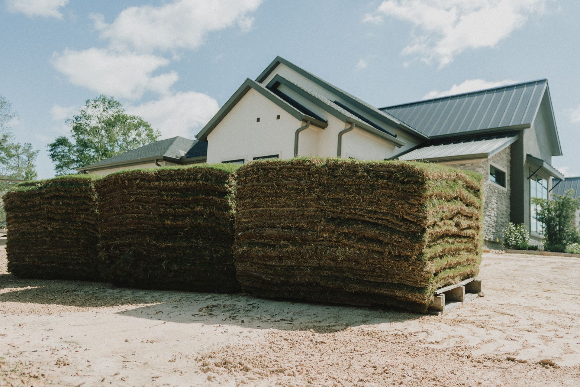 Newly Installed Turf Grass — Houston, TX — Cornett Grass — Houston, TX — Cornett Grass