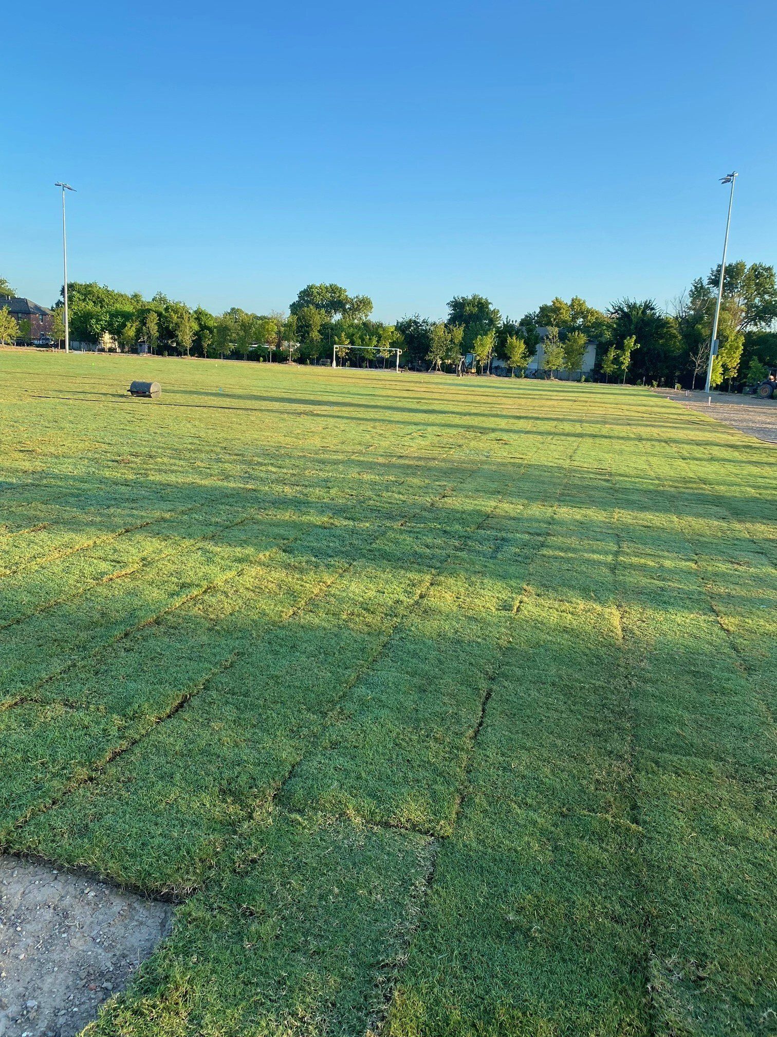 Local Sod Company Houston, TX Grass