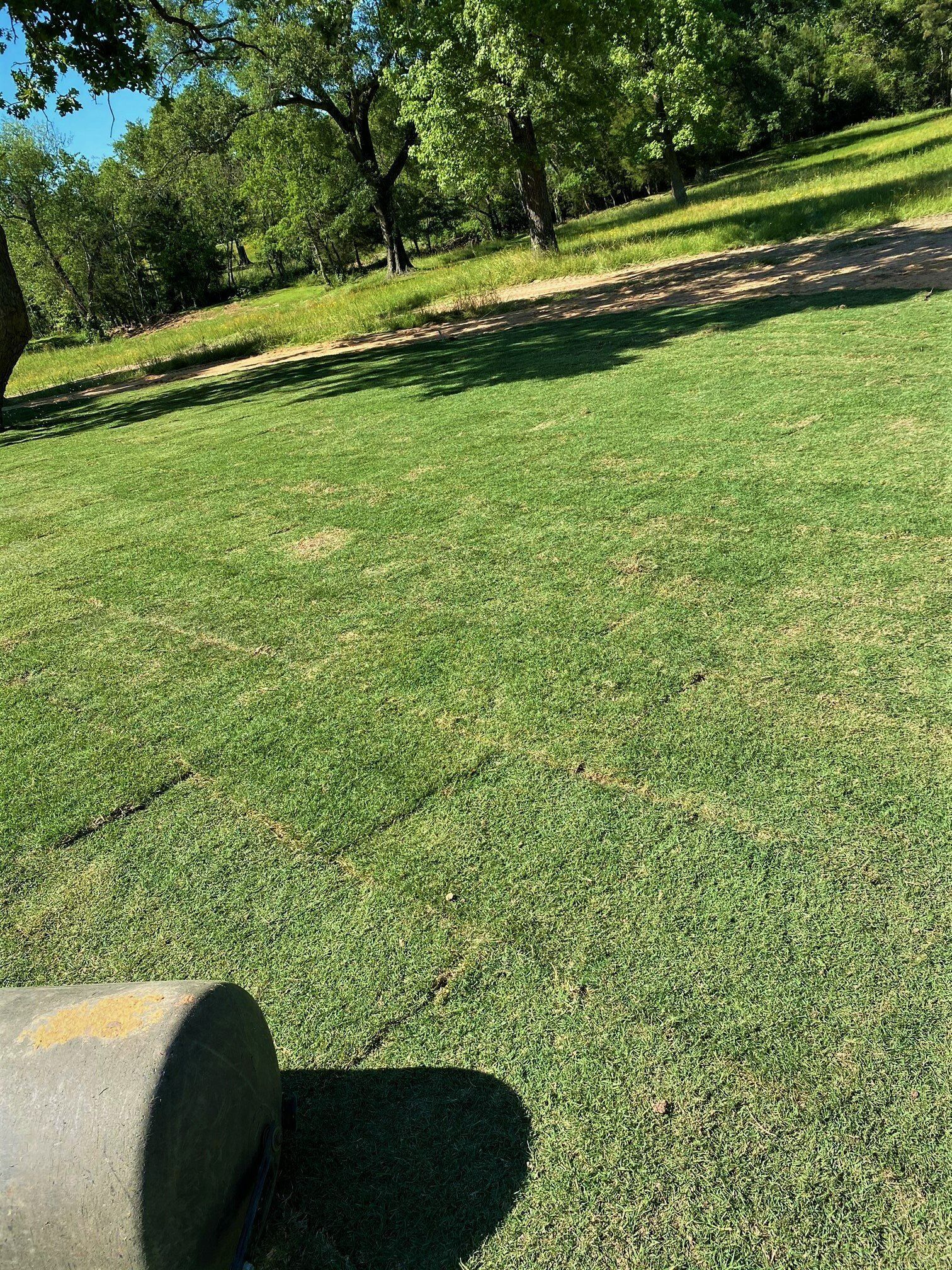 Newly Installed Turf Grass — Houston, TX — Cornett Grass — Houston, TX — Cornett Grass
