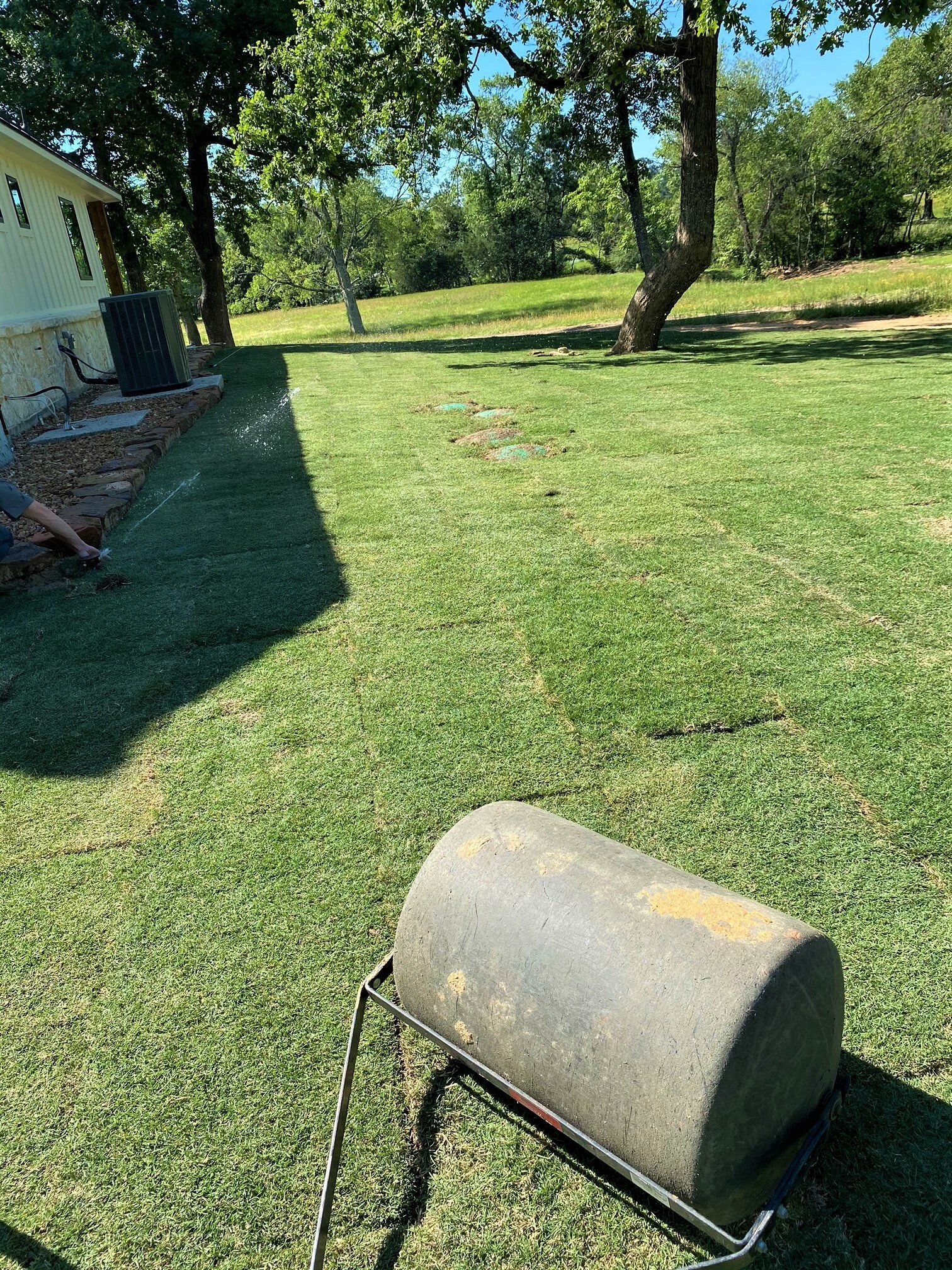 Local Sod Company Houston, TX Grass