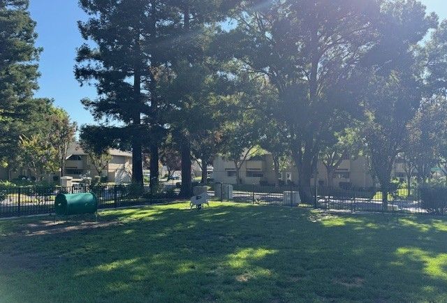 Park bench in front of building with trees, flowers, and path on a sunny day.