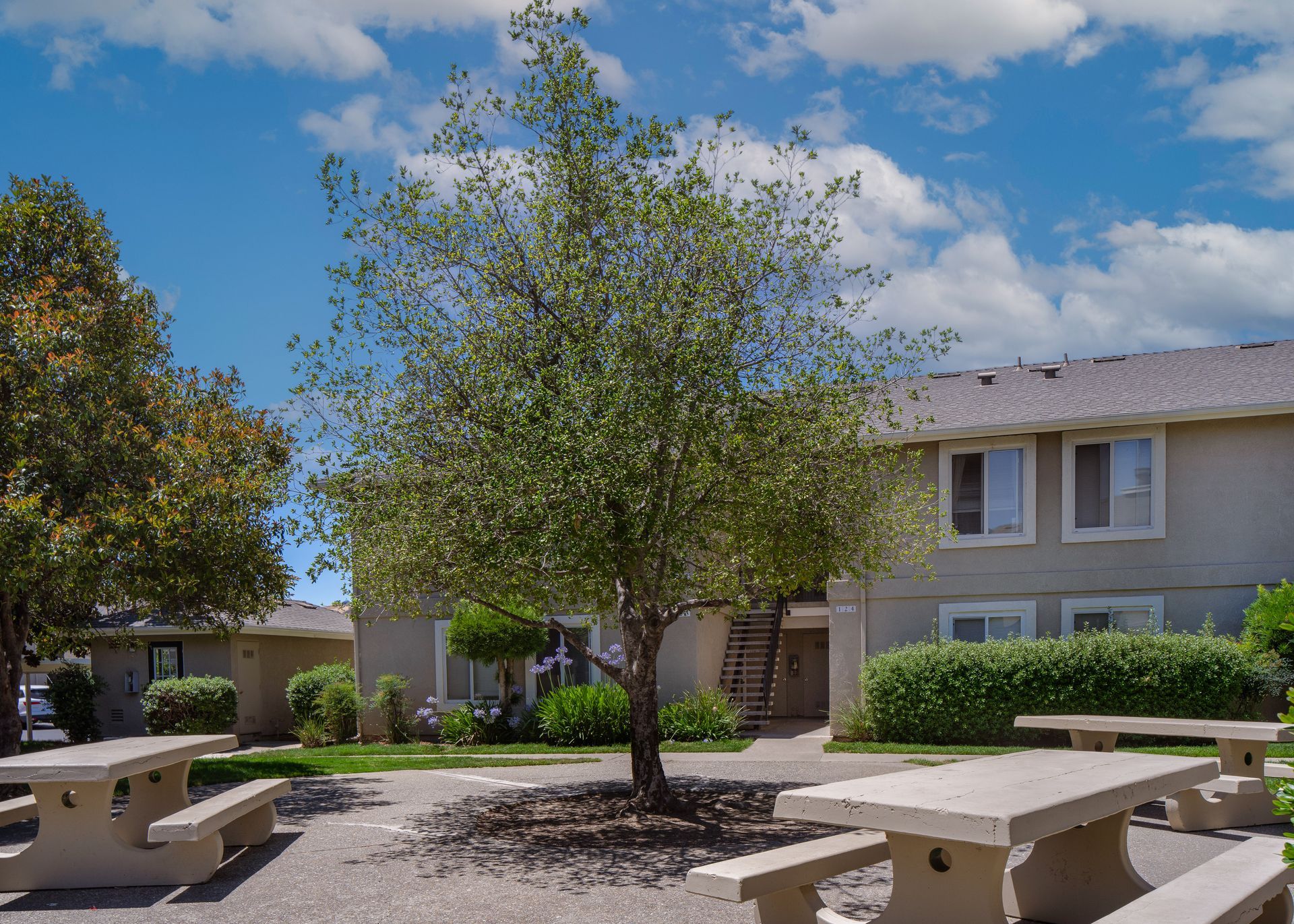 Courtyard with concrete picnic tables, a tree, and a two-story apartment building under a blue sky with clouds.