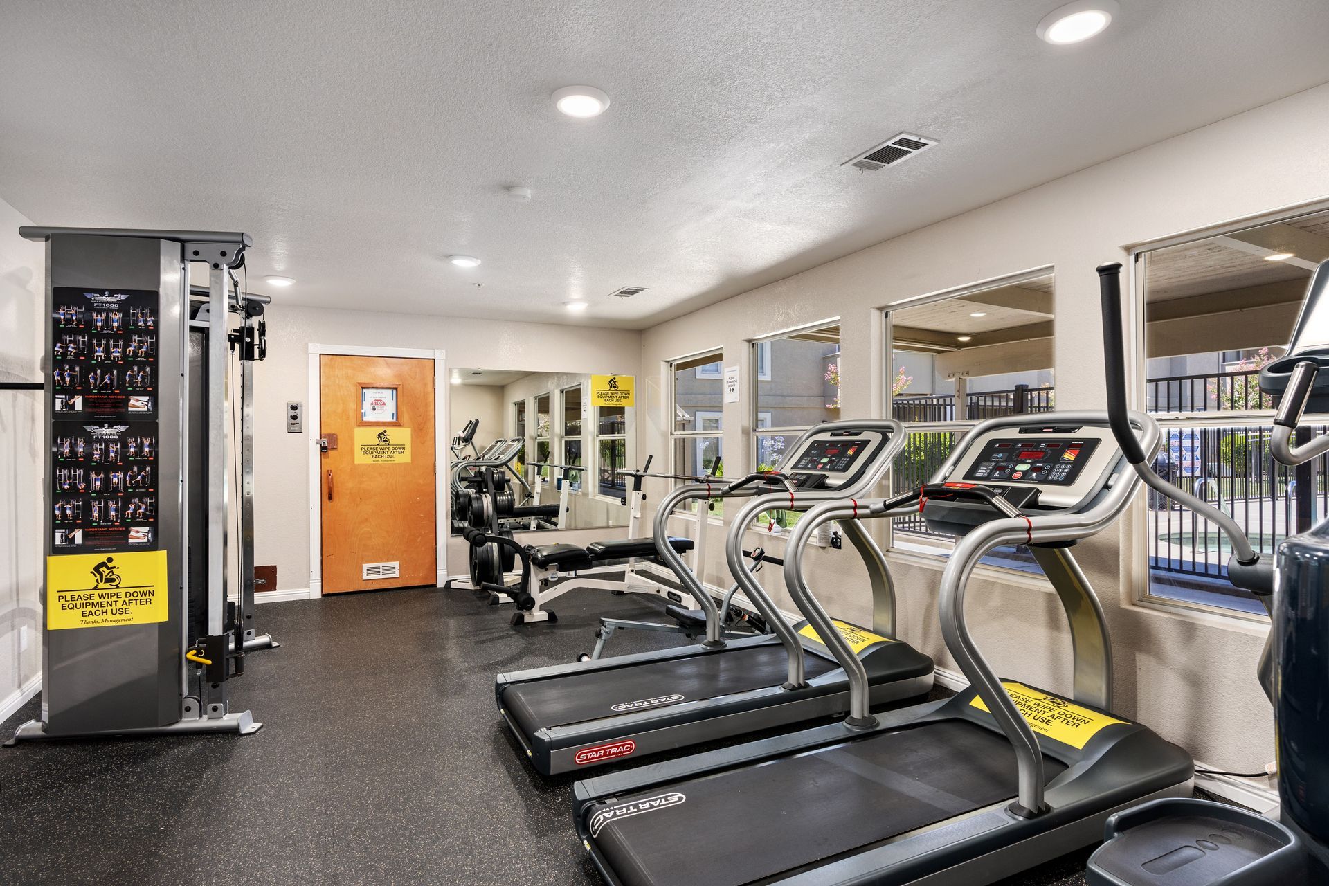 Peacock standing in a field, displaying its blue neck and long, iridescent tail feathers.