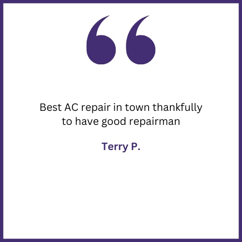 A quote from terry p. says `` best ac repair in town thankfully to have good repairman ''.