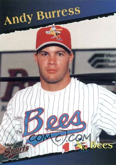 Baseball card of Andy Burress wearing a Bees uniform and cap.