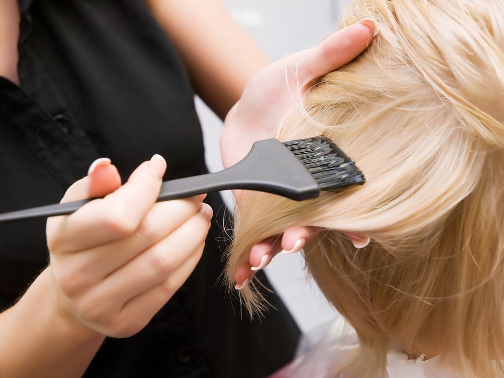 Hairdresser Applying Black Dye to Blonde Hair With a Brush — Fraser Shores Hair Design In Urraween, QLD