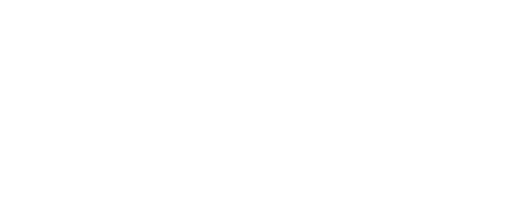 VALFLEX logo negativo