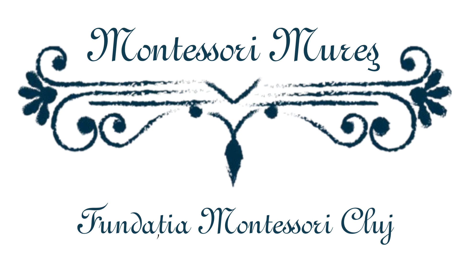 Logo Fundatia Montessori Cluj - Logo Liceul Montessori Cluj