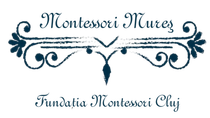 Logo Fundatia Montessori Cluj - Logo Liceul Montessori Cluj