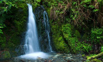 Goldstream Provincial Park