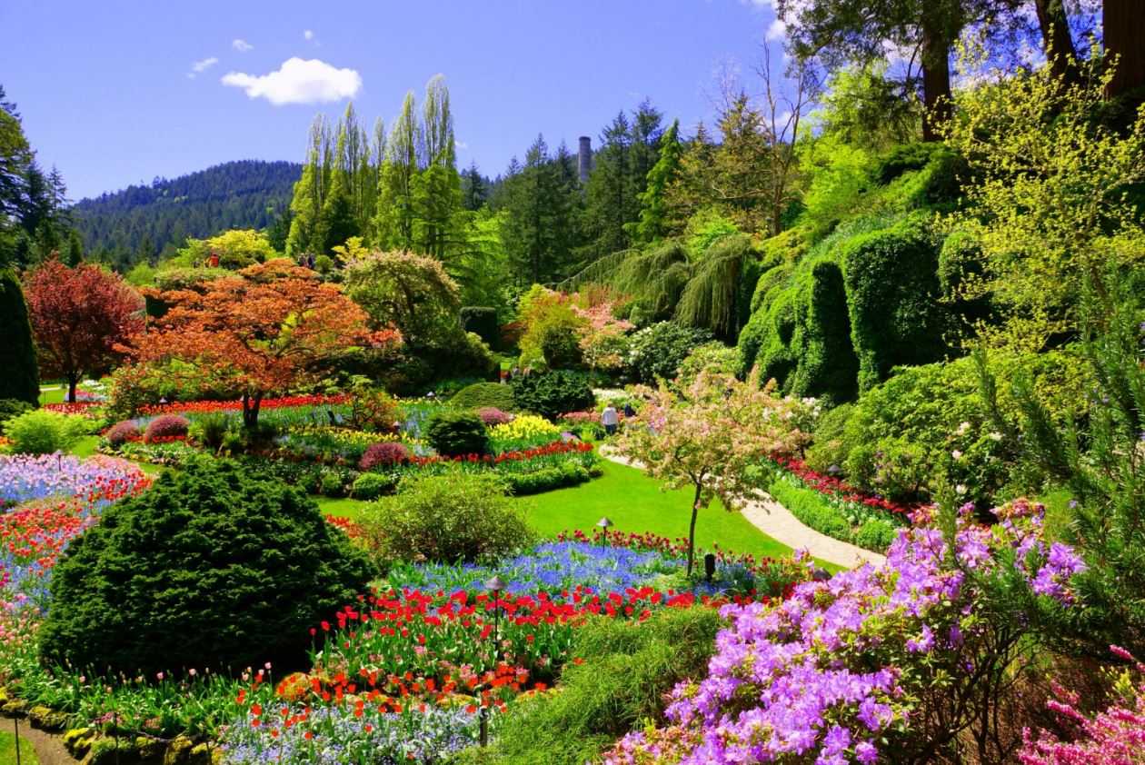 Butchart  Gardens