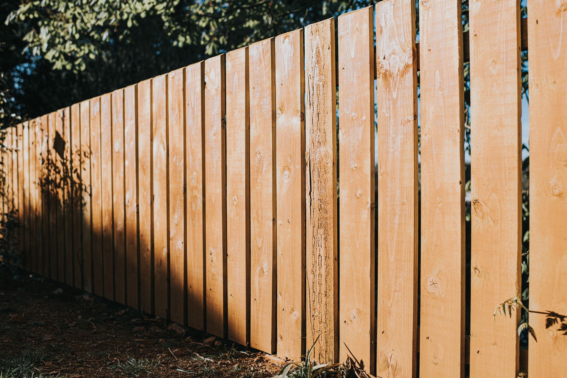 Diminishing perspective of Fence Panels