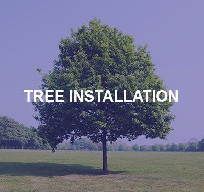 image-1054626-call-treeinstallation.jpg