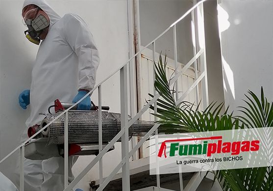 FUMIPLAGAS CULIACÁN - ATENCIÓN PERSONALIZADA