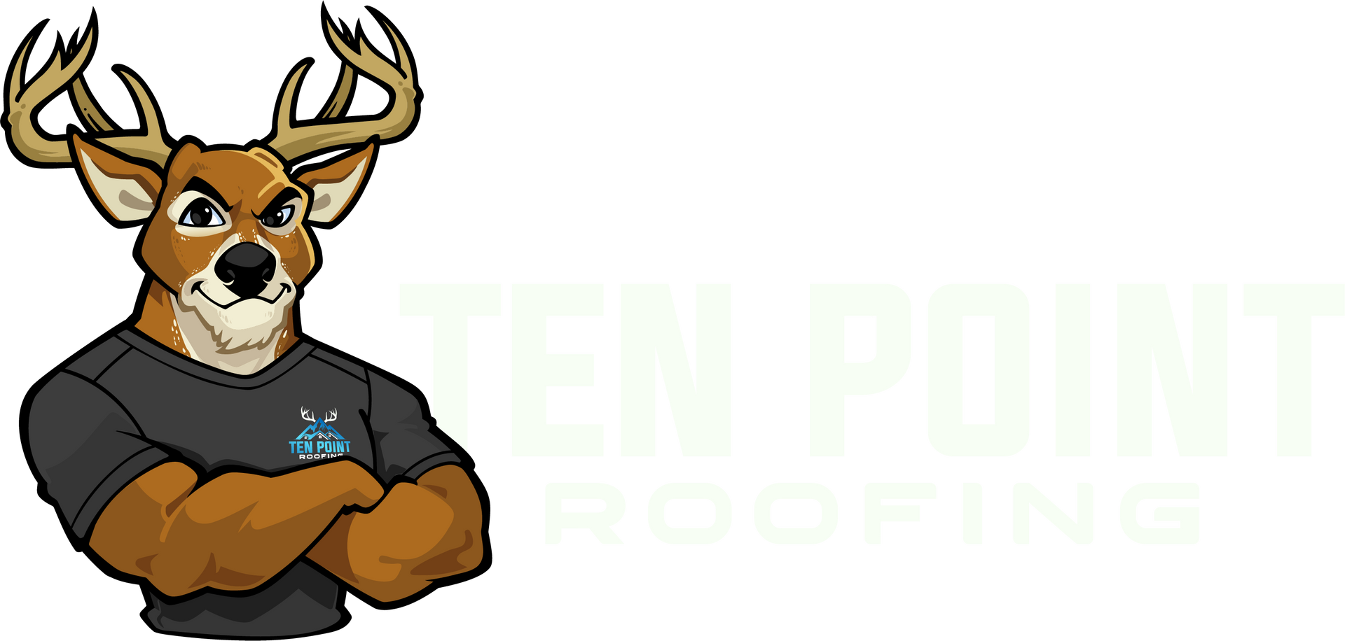 Ten Point Roofing logo