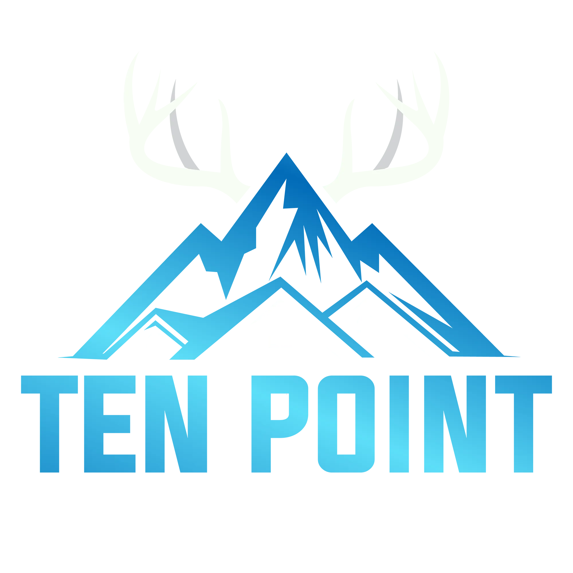 Ten Point Roofing Logo