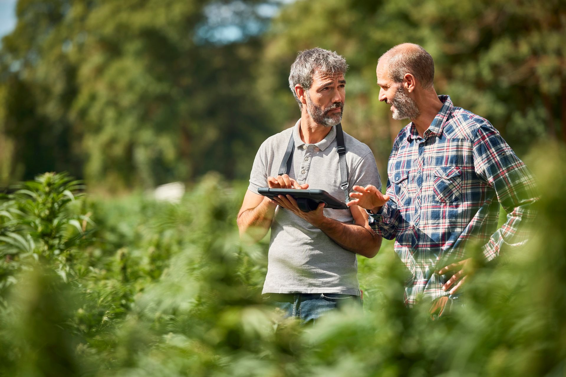 Two men are standing in a field looking at a tablet.