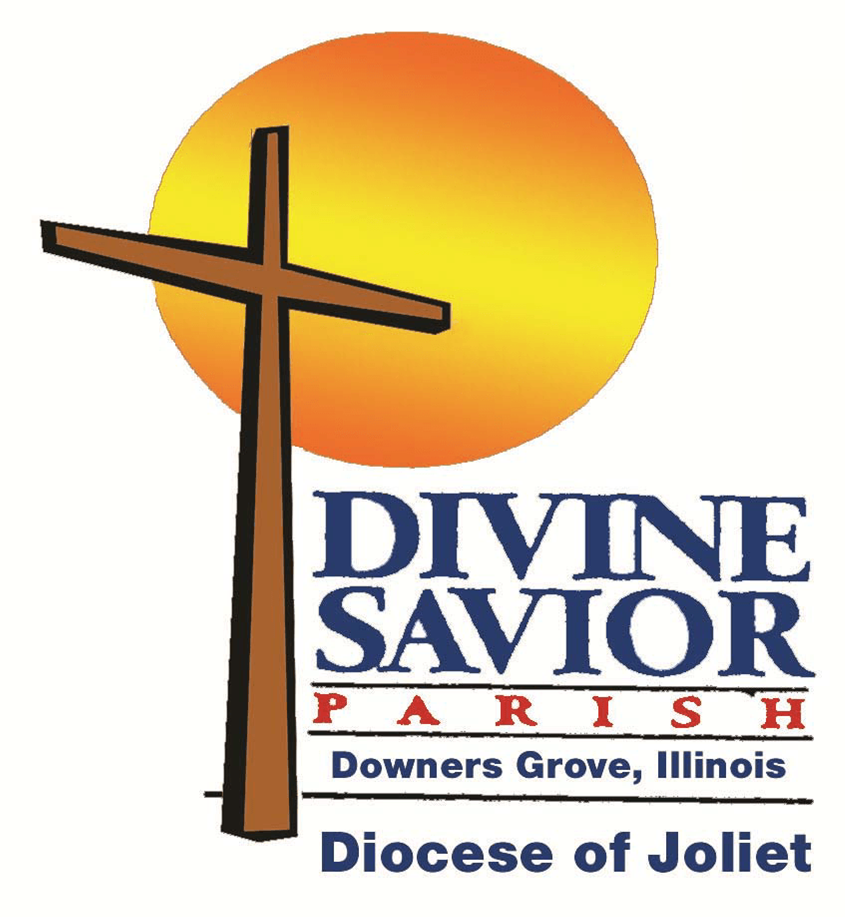 Photo of Divine Savior Catholic Church