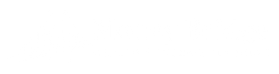 money bridge logo