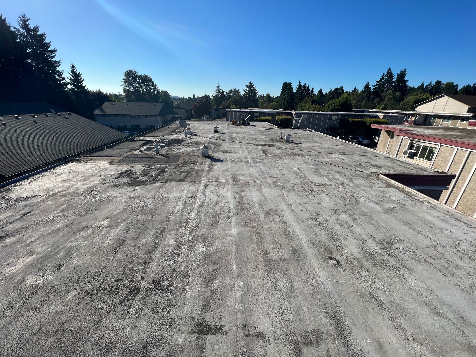 Commercial roof showcasing the need for maintenance and regular inspections.