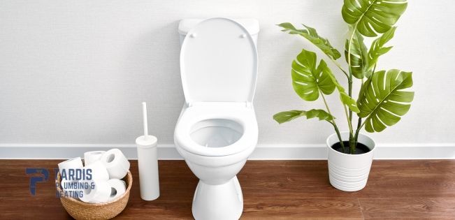 A toilet , toilet brush , toilet paper and a potted plant in a bathroom.