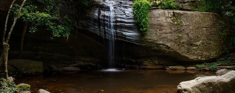 A Waterfall Is Surrounded By Trees And Rocks In The Middle Of A Forest — All Aspects Landscaping In Buderim, QLD