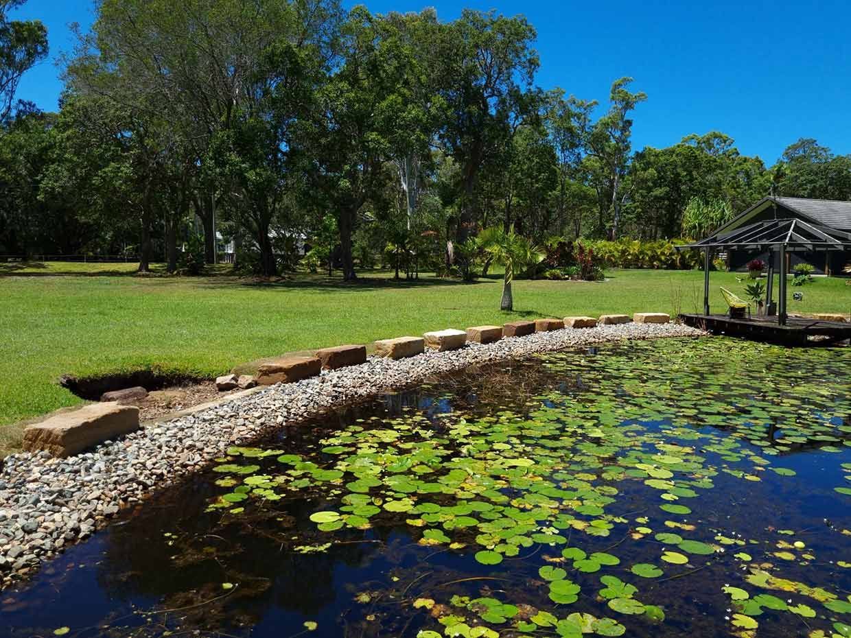 A Pond With Lily Pads Surrounded by Grass and Trees — All Aspects Landscaping In Peregian Beach, QLD