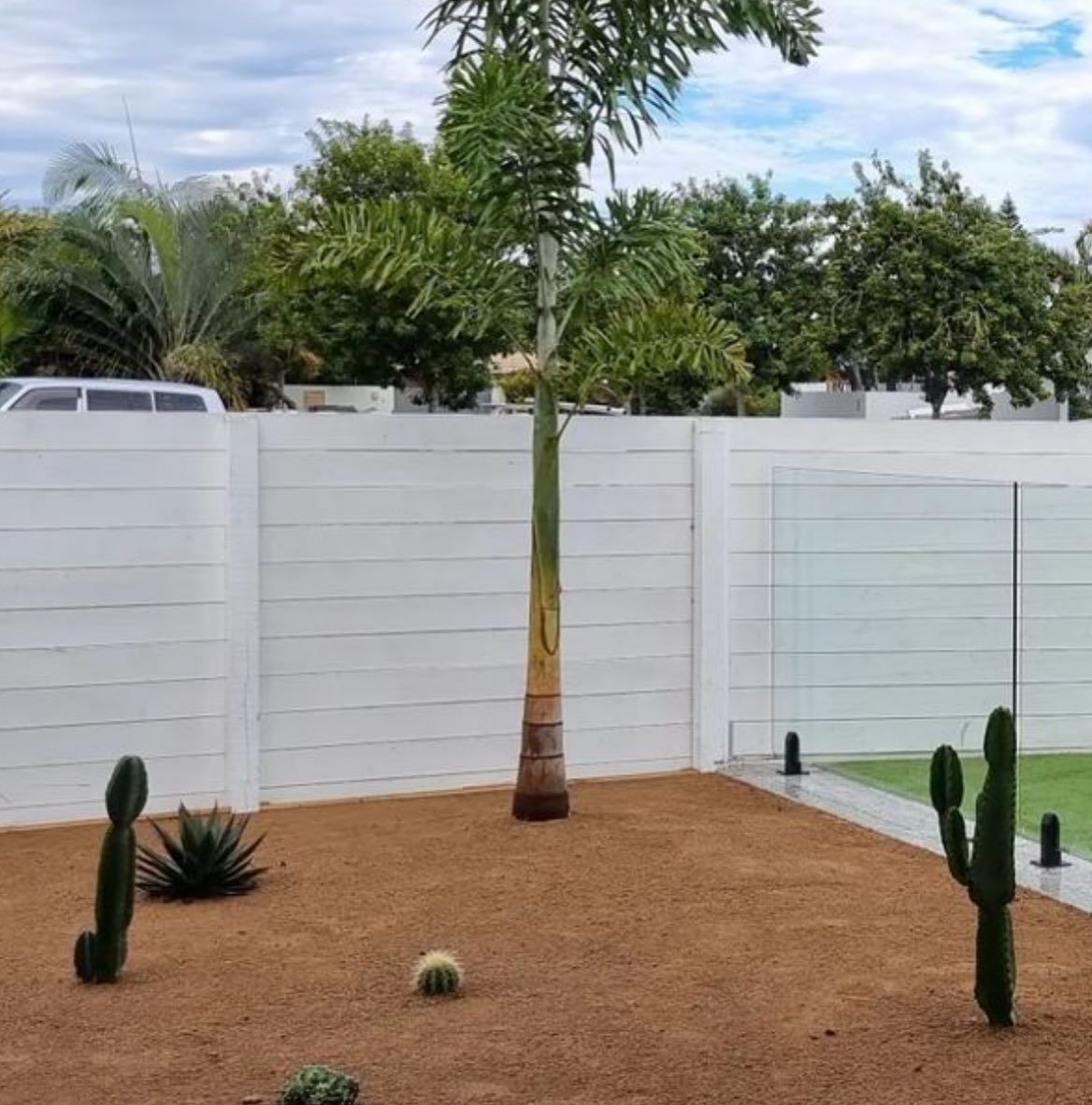 A Fence With A Palm Tree And Cactus In Front Of It — All Aspects Landscaping In Peregian Beach, QLD