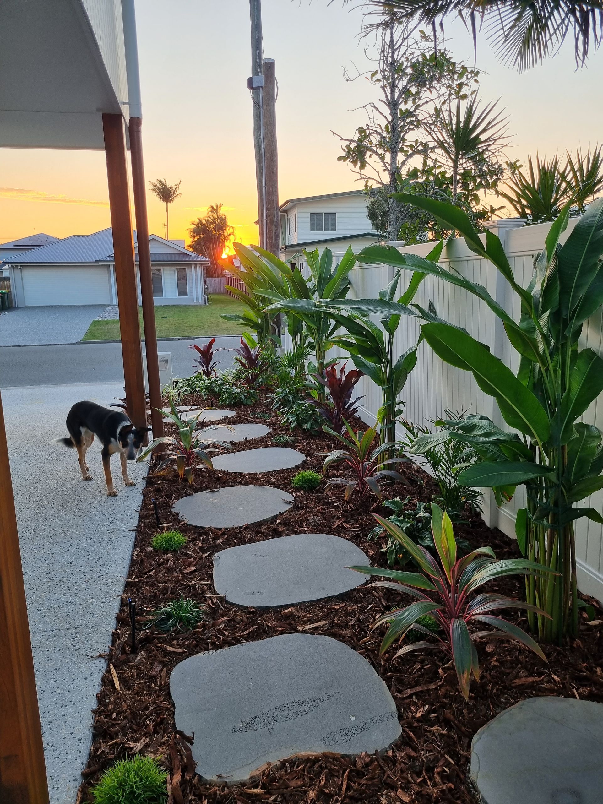 Front Yard with Trees and Stepping Stones — All Aspects Landscaping In Peregian Beach, QLD