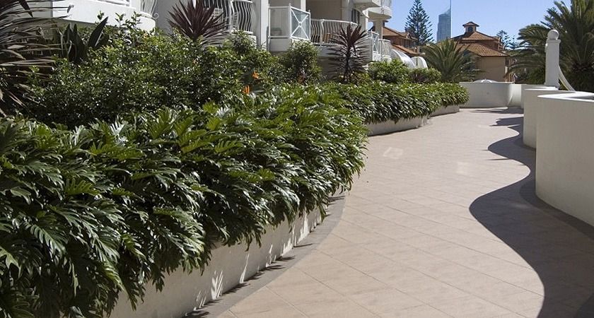 A Row Of Potted Plants Along A Walkway In Front Of A Building — All Aspects Landscaping In Peregian Beach, QLD