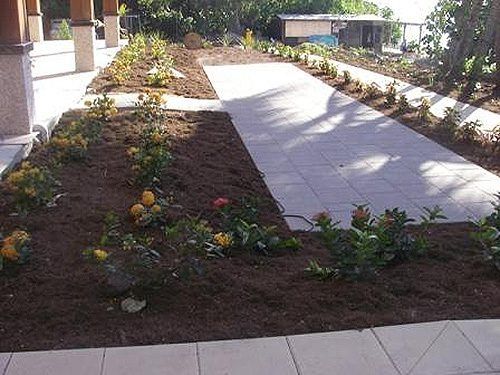 A Walkway With Flowers In The Middle Of It — All Aspects Landscaping In Peregian Beach, QLD