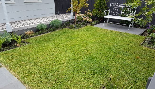 A Lush Green Lawn With A White Bench In The Middle Of It — All Aspects Landscaping In Peregian Beach, QLD