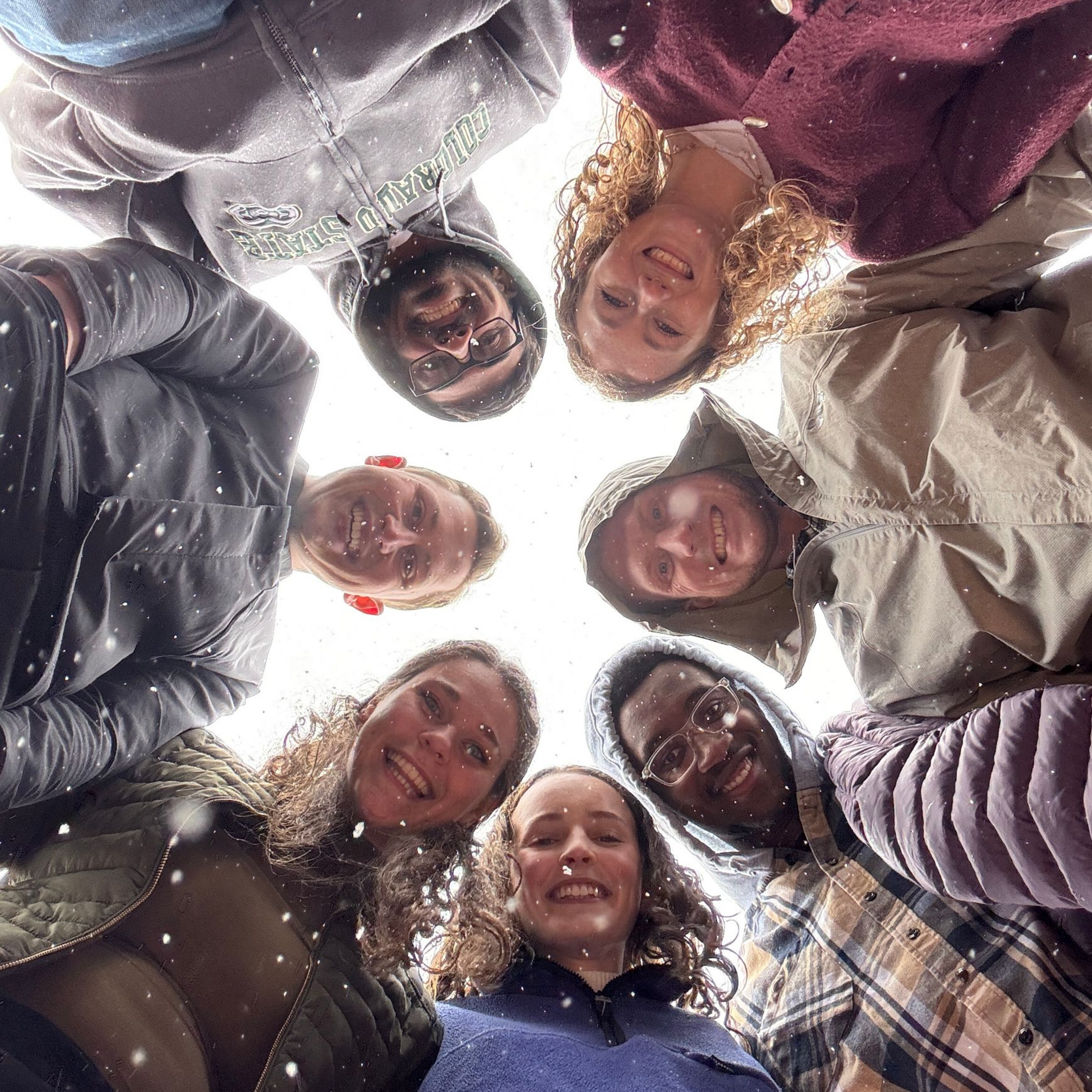 a group of college students
