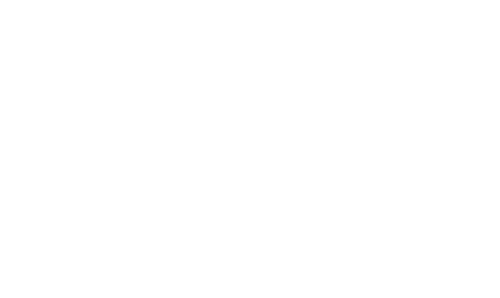 Barks NV Salon & Spa logo