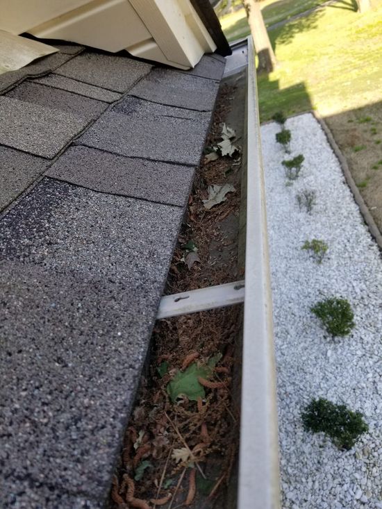Gutter filled with leaves and debris along a roofline, with white gravel and small plants below.