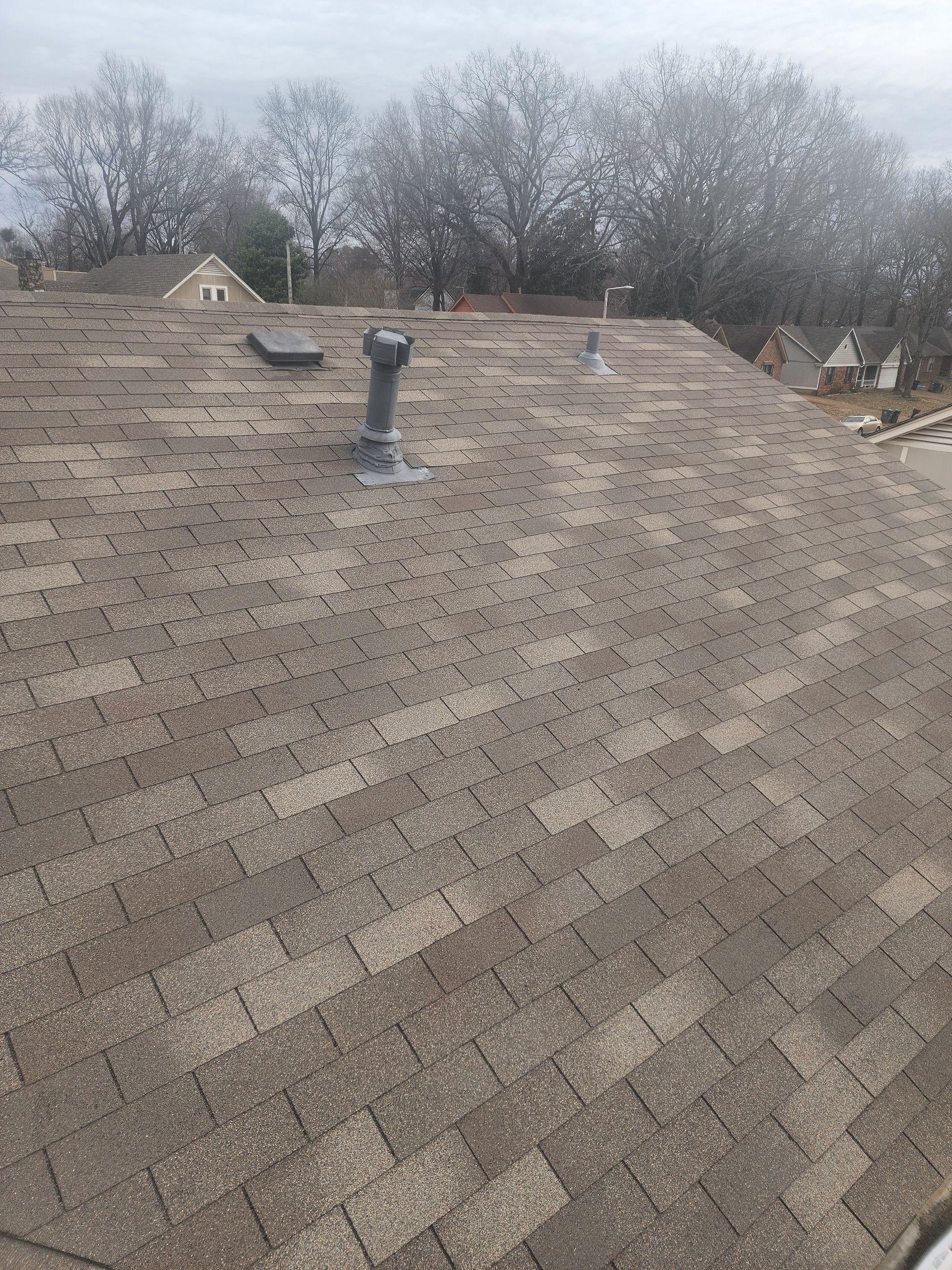 Brown asphalt shingle roof with vent pipes and some trees in the background. Overcast day.
