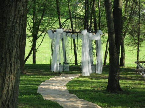 Wedding in the woods