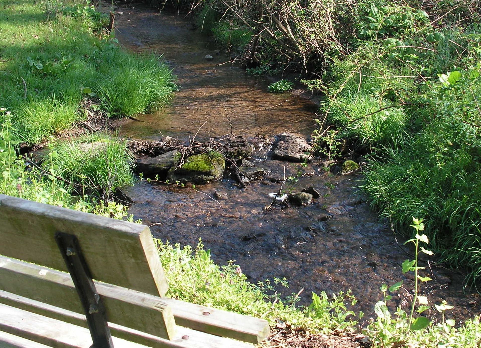 Stream