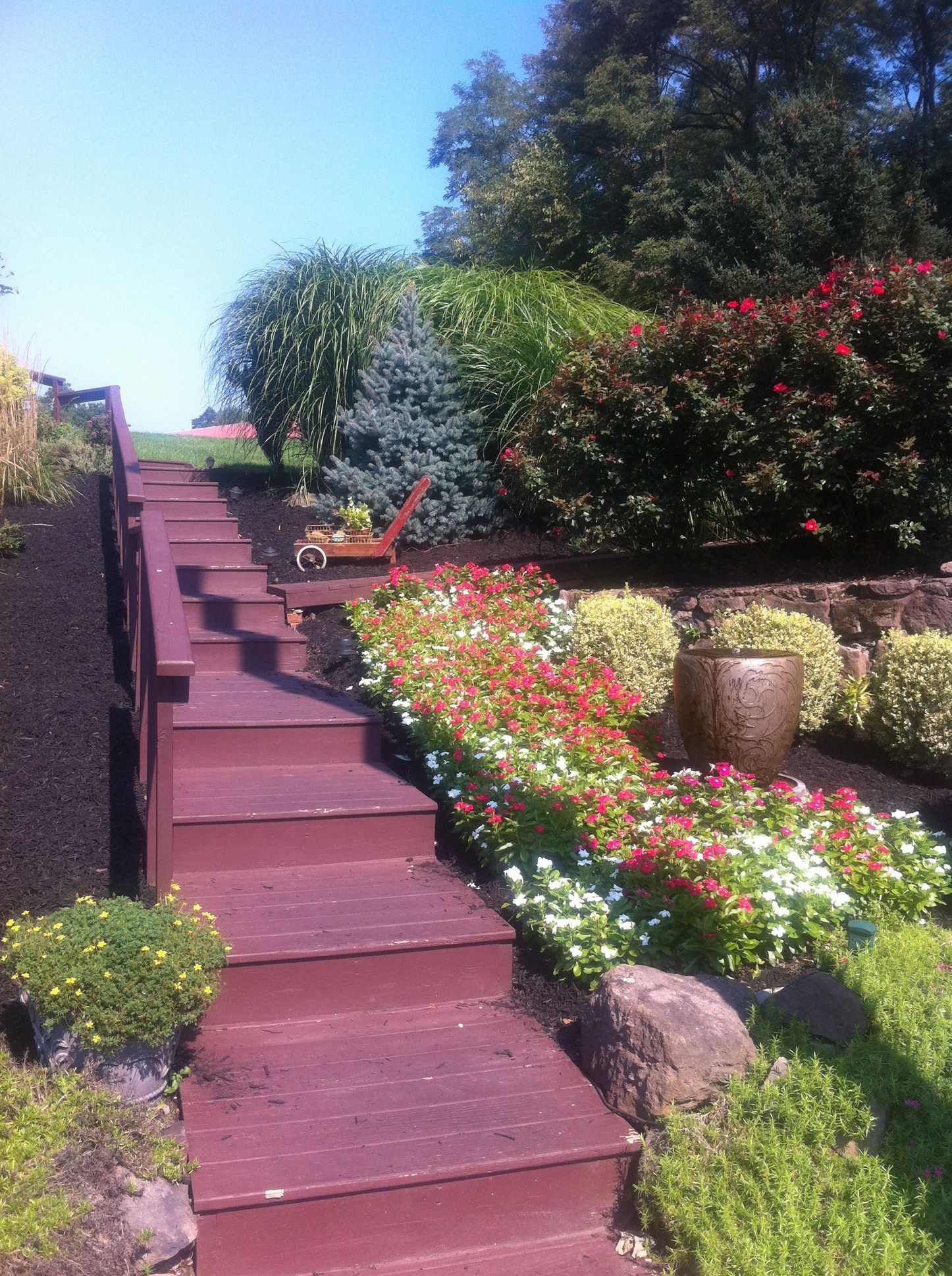Steps through Garden