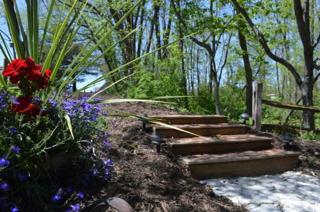 Steps in Garden