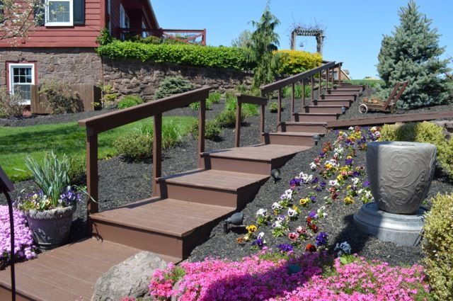 Steps through garden