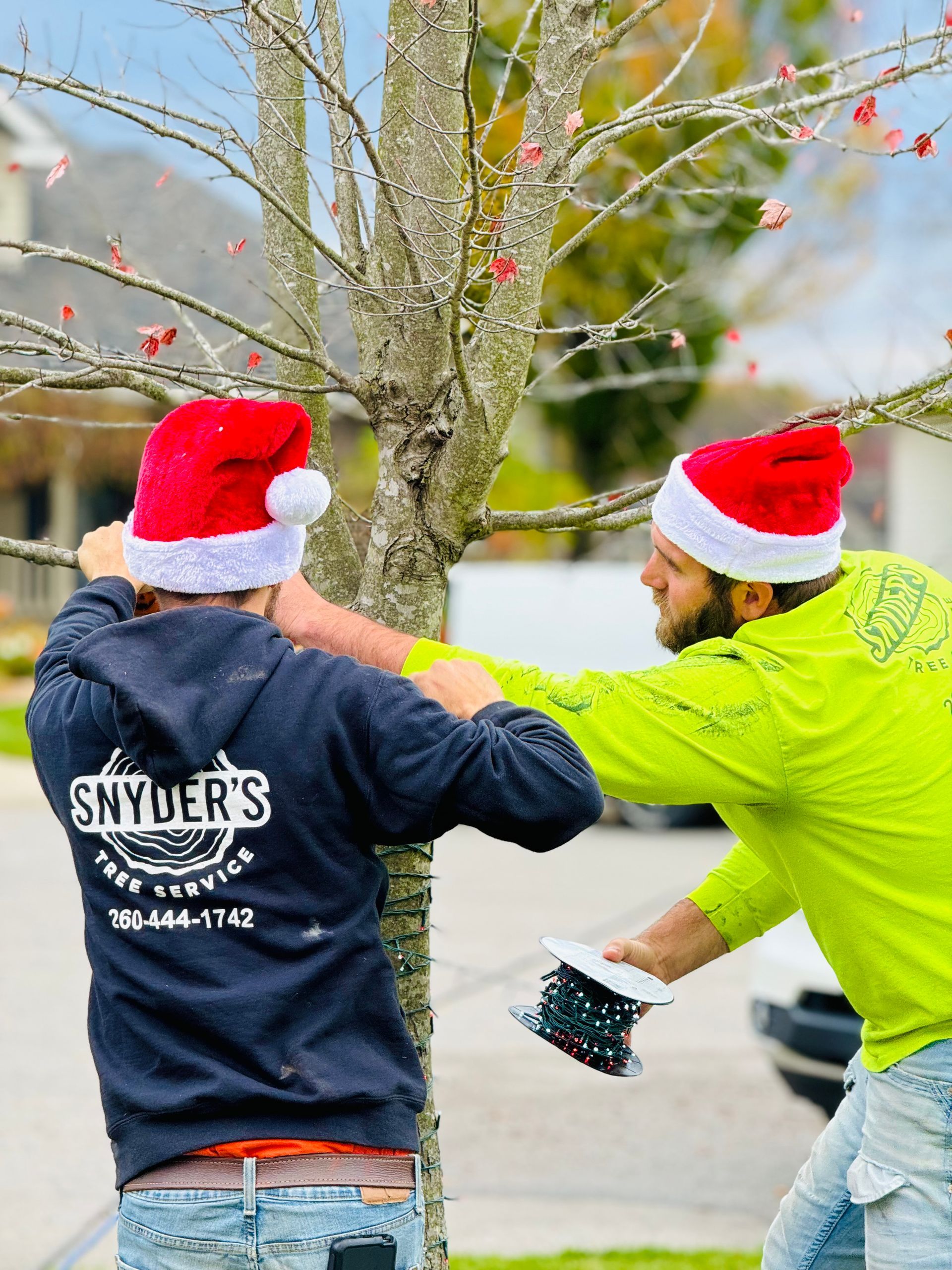 Two people in Santa hats stringing Christmas lights on a tree outside; one wears a green shirt, one a black hoodie.